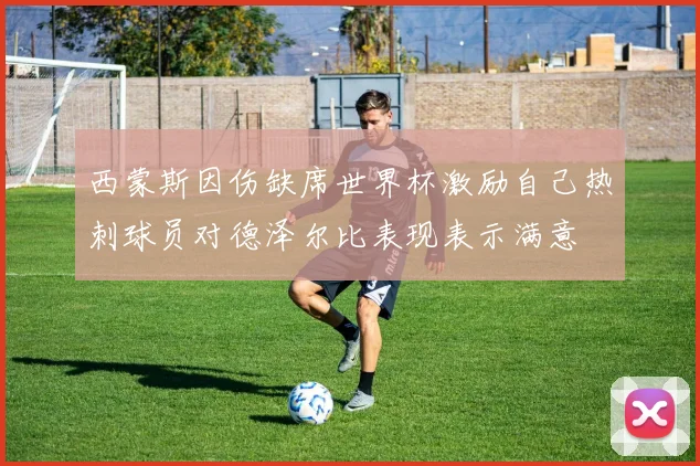 西蒙斯因伤缺席世界杯激励自己热刺球员对德泽尔比表现表示满意